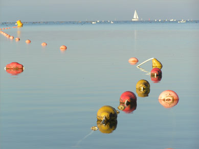 at the seaside