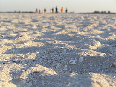 ijsselmeer during summertime